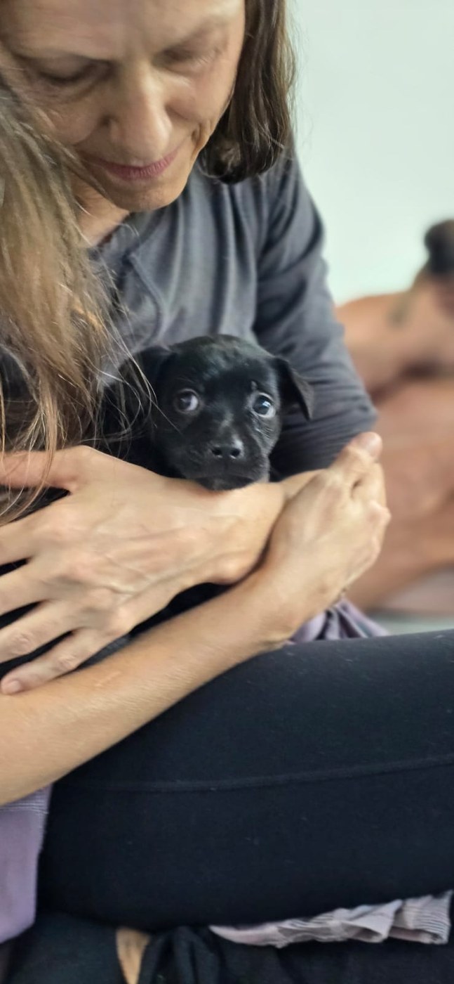 A participant sitting quietly with a black puppy resting in her arms